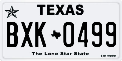 TX license plate BXK0499