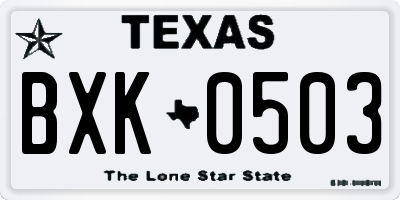 TX license plate BXK0503