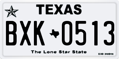 TX license plate BXK0513