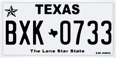 TX license plate BXK0733