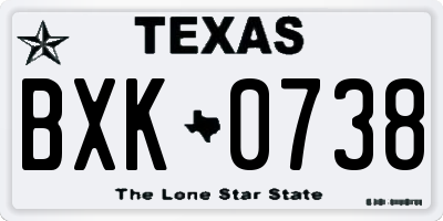 TX license plate BXK0738