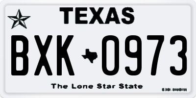 TX license plate BXK0973