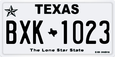 TX license plate BXK1023