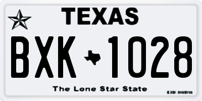 TX license plate BXK1028