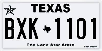 TX license plate BXK1101