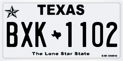 TX license plate BXK1102