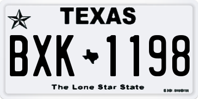 TX license plate BXK1198