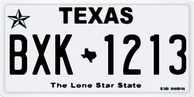 TX license plate BXK1213