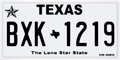 TX license plate BXK1219