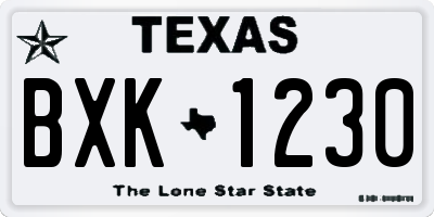 TX license plate BXK1230