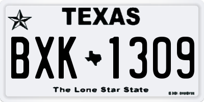 TX license plate BXK1309