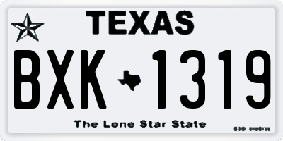 TX license plate BXK1319