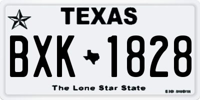 TX license plate BXK1828