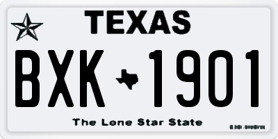TX license plate BXK1901
