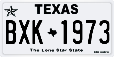 TX license plate BXK1973