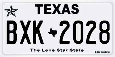 TX license plate BXK2028