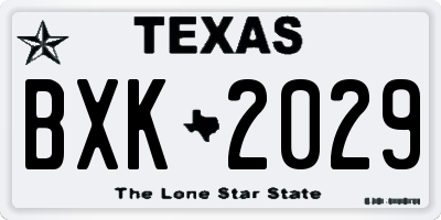 TX license plate BXK2029