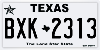 TX license plate BXK2313