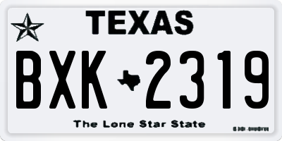 TX license plate BXK2319