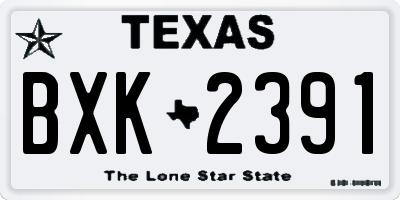 TX license plate BXK2391