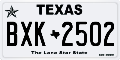 TX license plate BXK2502