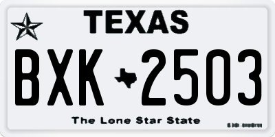 TX license plate BXK2503