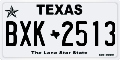 TX license plate BXK2513