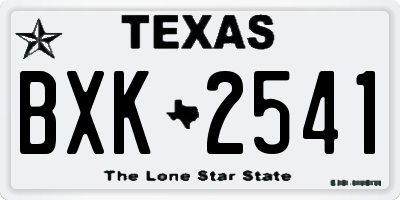 TX license plate BXK2541