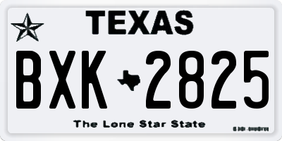 TX license plate BXK2825