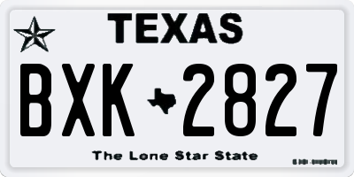 TX license plate BXK2827