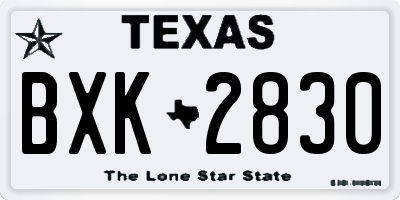 TX license plate BXK2830