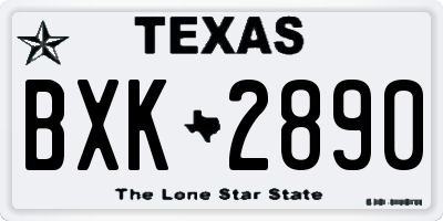 TX license plate BXK2890