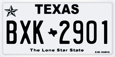 TX license plate BXK2901