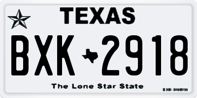 TX license plate BXK2918
