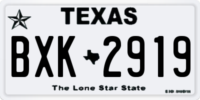 TX license plate BXK2919