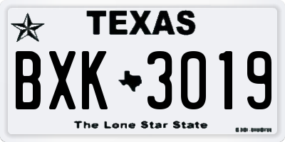 TX license plate BXK3019