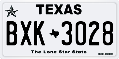 TX license plate BXK3028