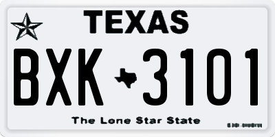 TX license plate BXK3101