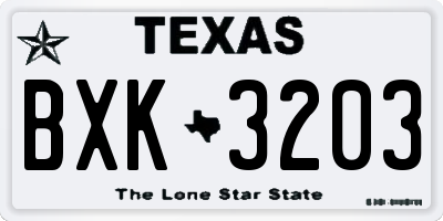 TX license plate BXK3203