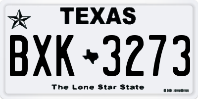 TX license plate BXK3273