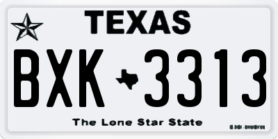 TX license plate BXK3313