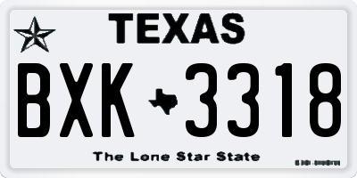 TX license plate BXK3318