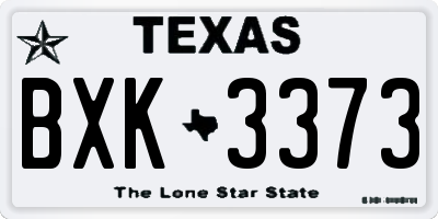 TX license plate BXK3373