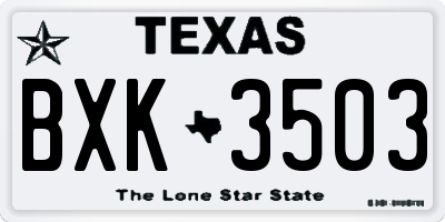 TX license plate BXK3503