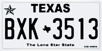 TX license plate BXK3513