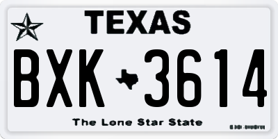 TX license plate BXK3614
