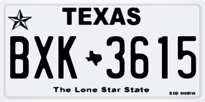 TX license plate BXK3615