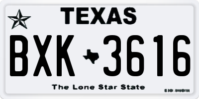 TX license plate BXK3616