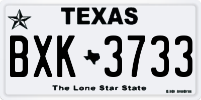 TX license plate BXK3733