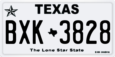 TX license plate BXK3828